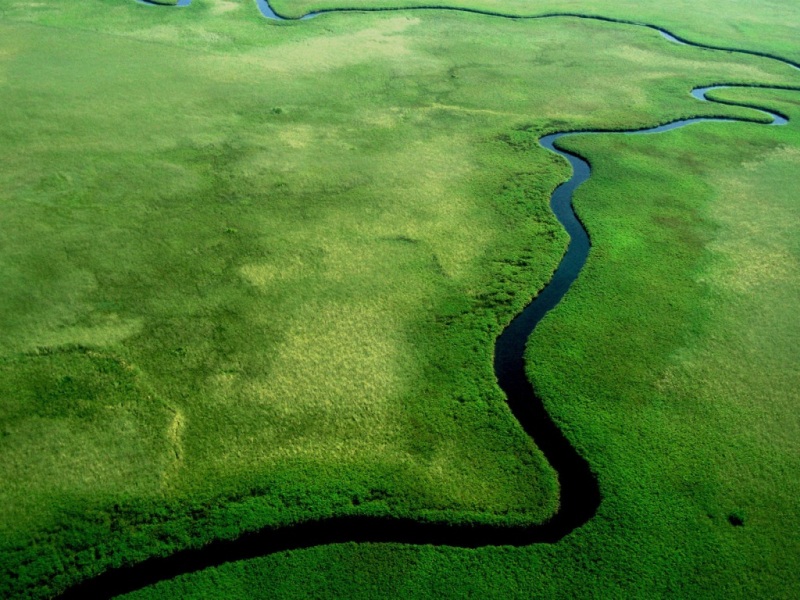 博茨瓦纳草原的蜿蜒河川丛林 绝美自然风电脑桌面壁纸