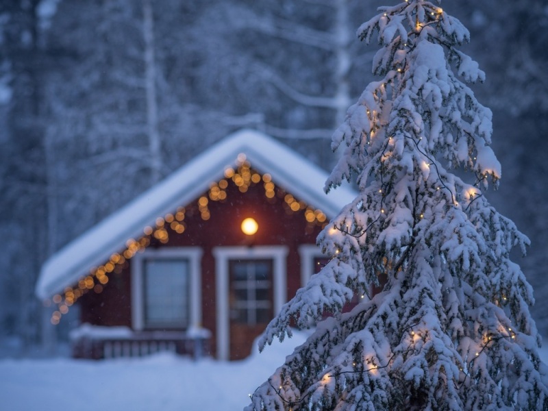 氛围感拉满！圣诞冬日云杉雪中小屋灯光壁纸合集