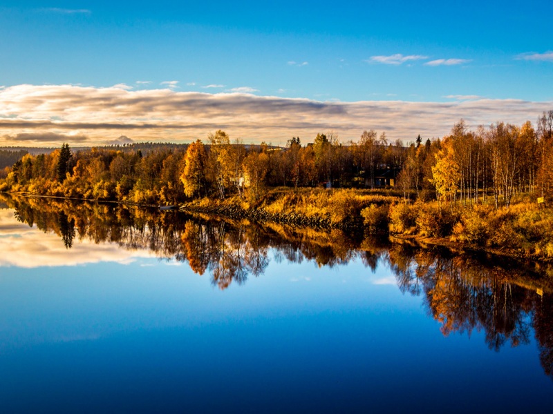 森林湖泊映着云天的电脑动漫桌面壁纸