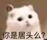 你就说，你是不是居吧？？