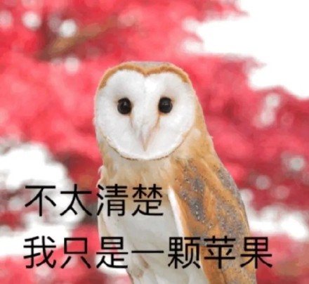 聊天凑数救星！这套捧哏表情包真的好用到爆