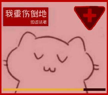 超实用肥肥猫猫斗图表情包合集