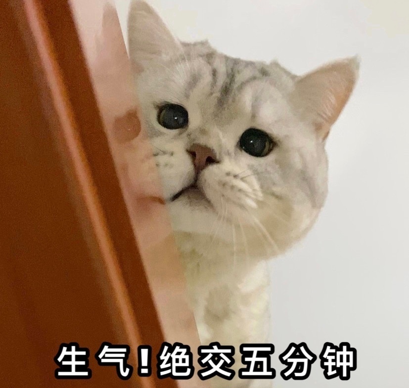 吵架绝交五分钟？这套猫咪表情包帮你快速和好