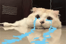 聊天必备！哭泣表情包合集整理好了