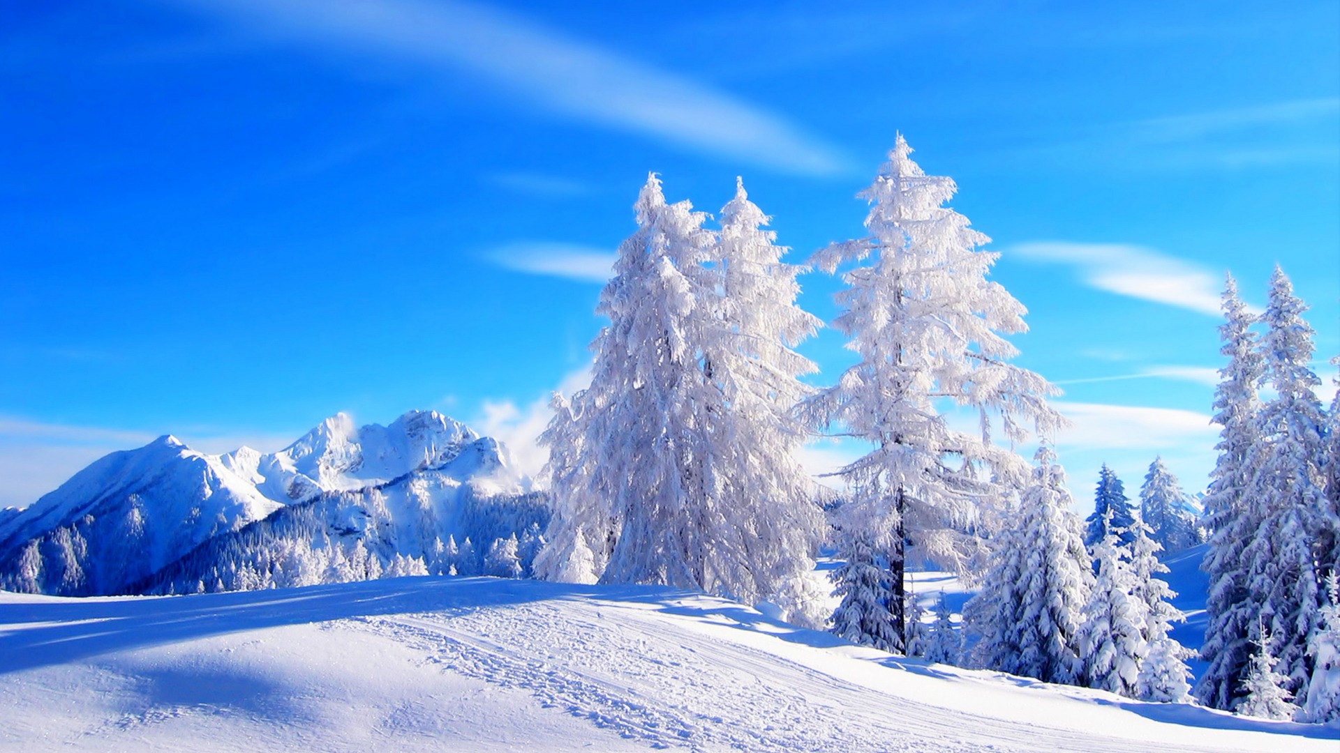 冬日山林雪路风景 适配电脑的动漫风桌面壁纸
