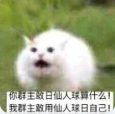 我们群主敢。。。表情包合集