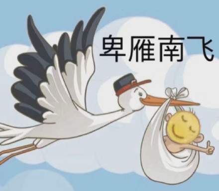 打工人聊天必备！这套卑微表情包火了