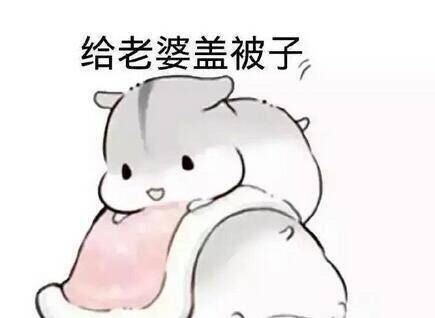 给老公们整理的专属爱老婆表情包合集