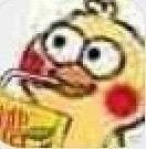 现在聊天都在用的鹦鹉高糊小表情