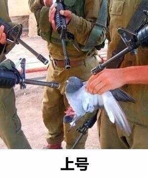 5月14日斗图表情包合集来啦