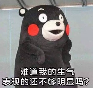 熊本熊恋爱聊天表情包合集