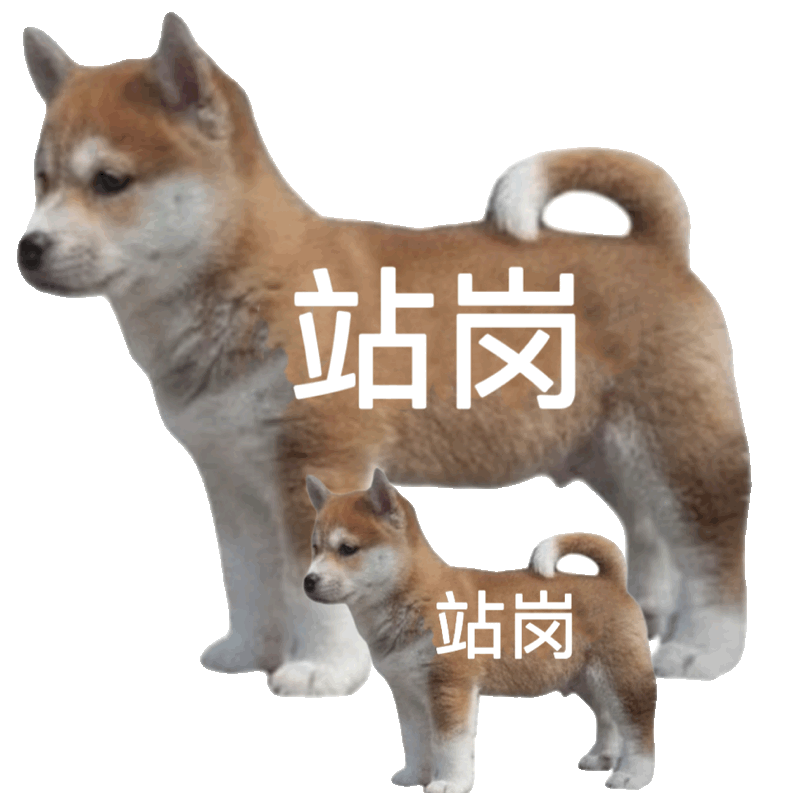 聊天必备！站岗小狗表情包合集来啦
