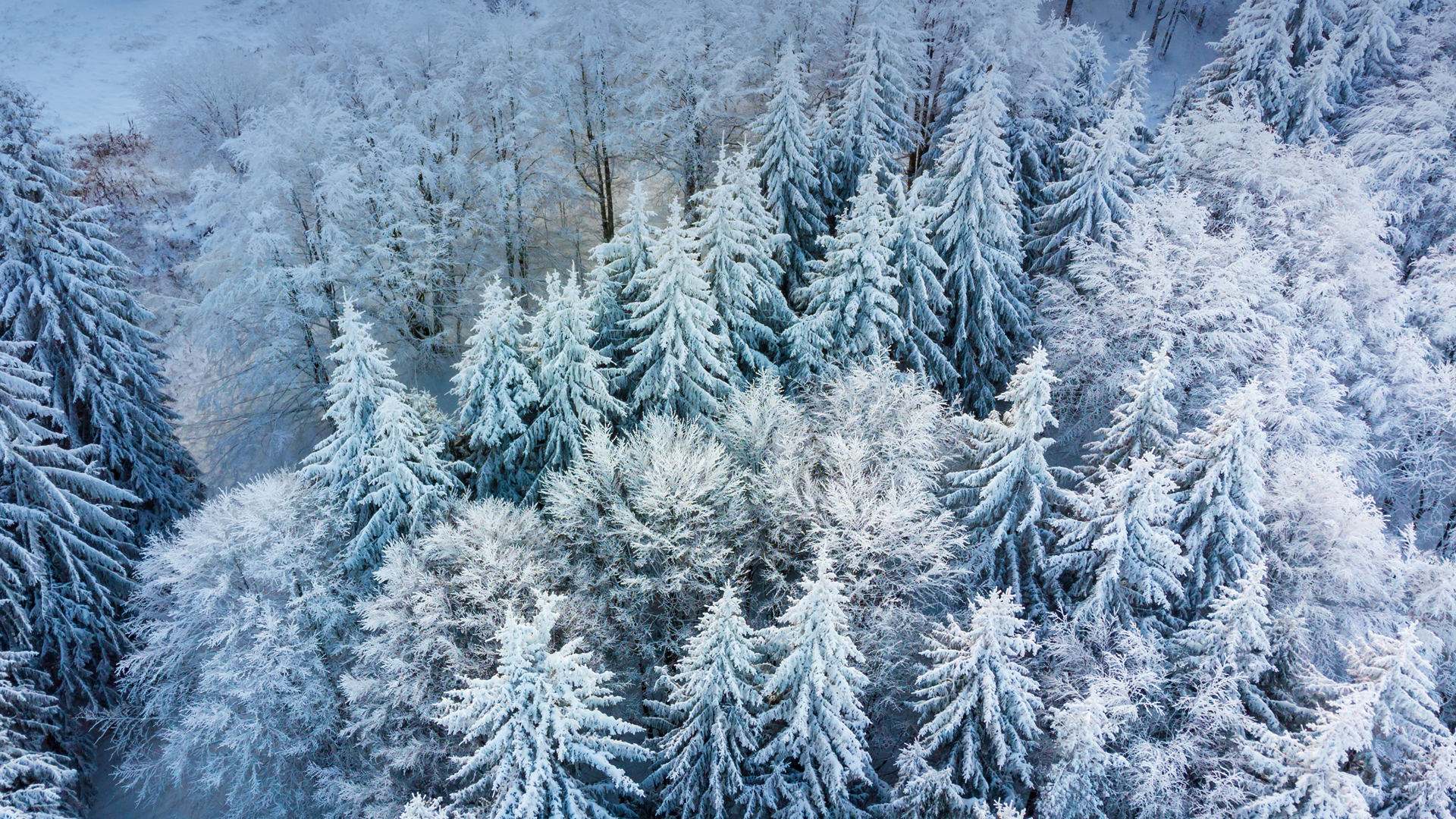 冬日俯瞰林间雪景 高清电脑壁纸合集