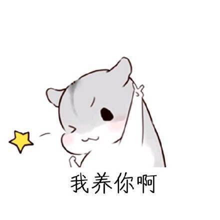 用仓鼠表情包教你怎么哄女朋友开心