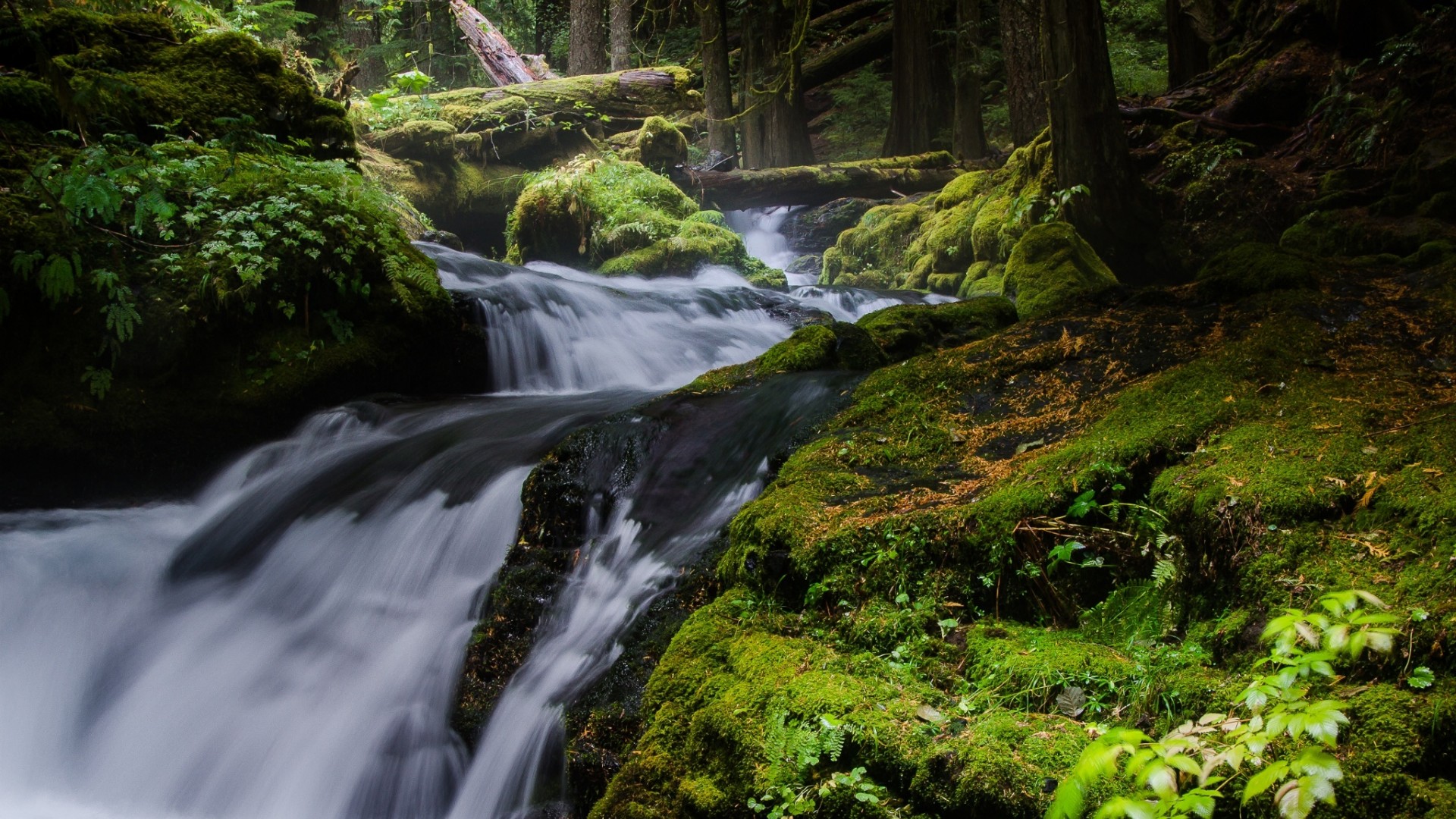 这份森林瀑布溪流壁纸 适配多款电脑屏幕尺寸