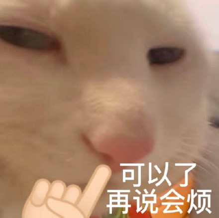又有新的奇怪猫猫表情包可以用啦