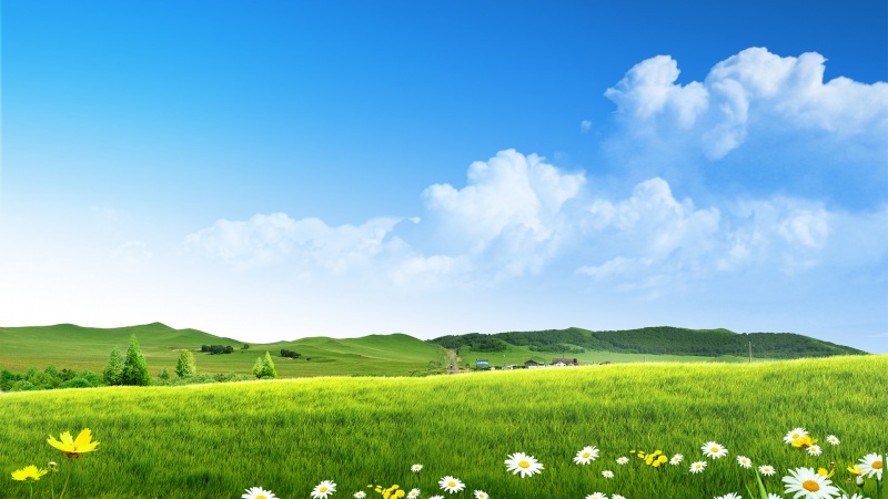 治愈感拉满！蓝天白云草地鲜花电脑桌面壁纸推荐