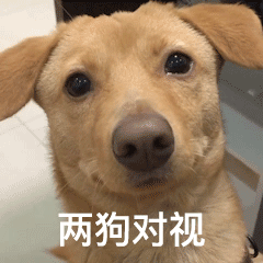 聊天斗图不用愁！这套实用动图表情包直接存