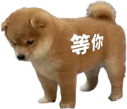 摸鱼斗图必备！这套小狗狗勾表情包太上头了