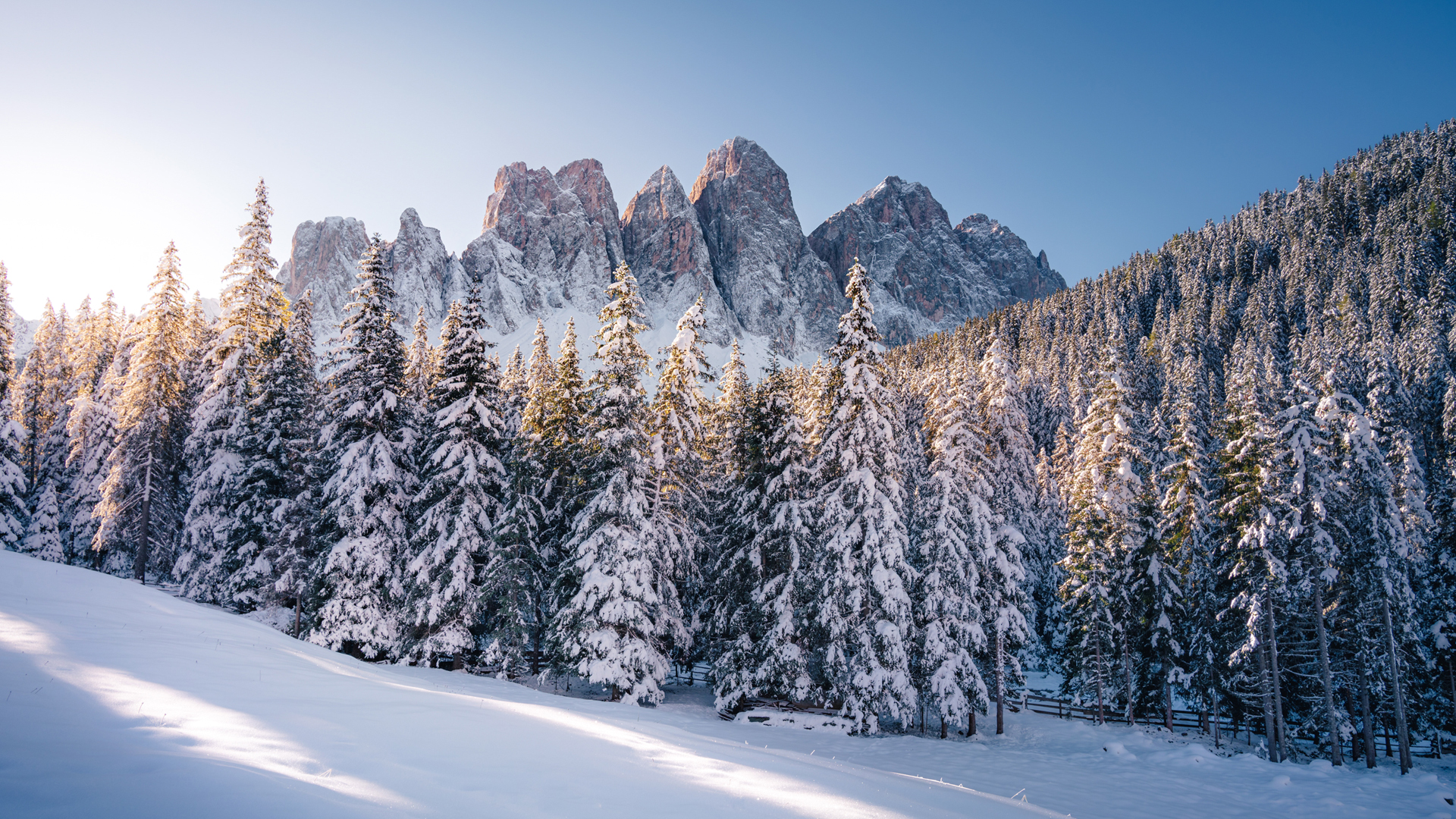 适合电脑用的高山雪景树林厚雪地动漫风壁纸