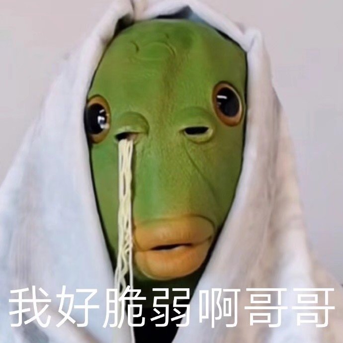 聊天斗图新宠！绿头龟表情包火出圈了