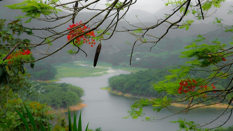 波多黎各海岛自然风景 高清电脑桌面动漫壁纸