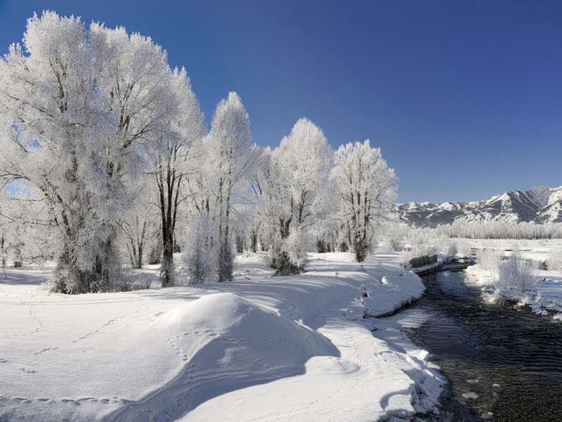 冬季雪白风景电脑动漫壁纸推荐