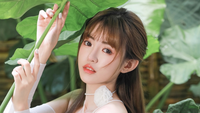 荷花清纯美女高清壁纸推荐