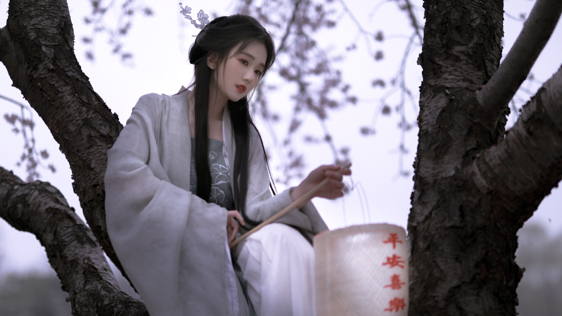 坐在树上的古风美女电脑桌面高清壁纸来了