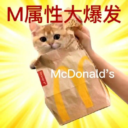 S属性M属性爆发表情包合集来了