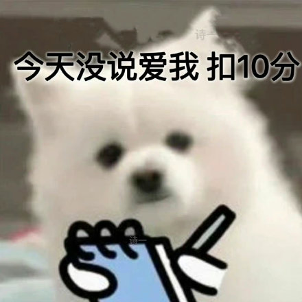 拿捏情侣日常的扣分小狗表情包火了