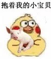 超萌小黄鸡抱猪猪表情包合集来啦