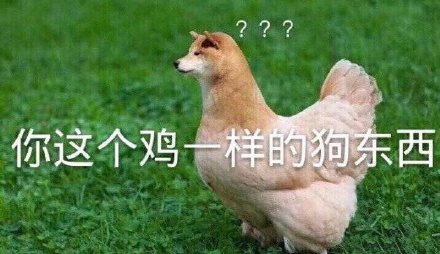 7月7日斗图表情包合集来啦