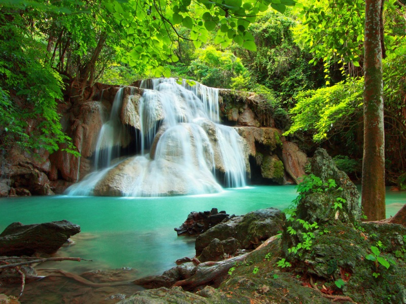 森林河流瀑布风景壁纸 护眼自然电脑桌面图
