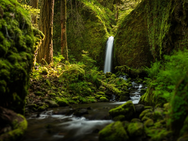 俄勒冈州小溪瀑布森林风景电脑桌面壁纸