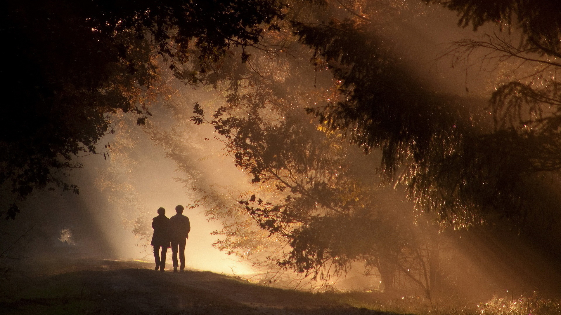 林间漫步恋人动漫壁纸 适配多款电脑屏幕尺寸