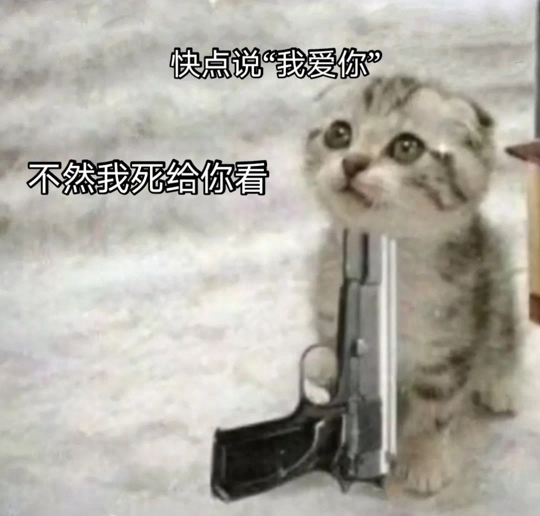 猫咪表情包合集 | 快跟我说我爱你