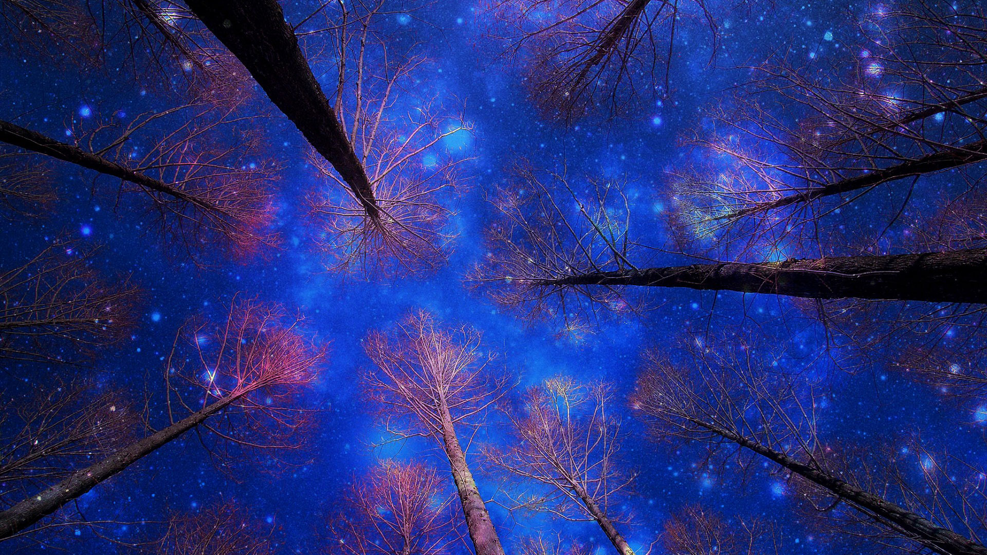 冬日夜景雪树壁纸合集