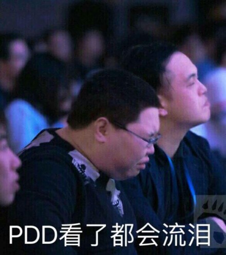 骚猪嫖老师PDD专属表情包合集