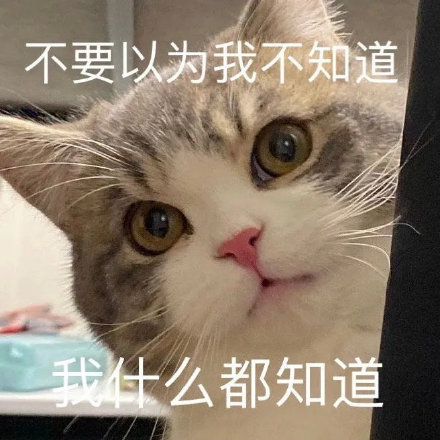 9月3日最新热门表情包合集