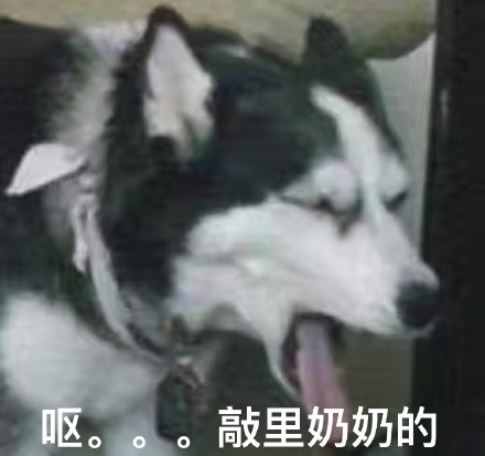 敲里吗！敲里lai lai 斗图表情包合集