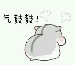 仓鼠撒娇表情包来啦！软萌仓鼠超会撩