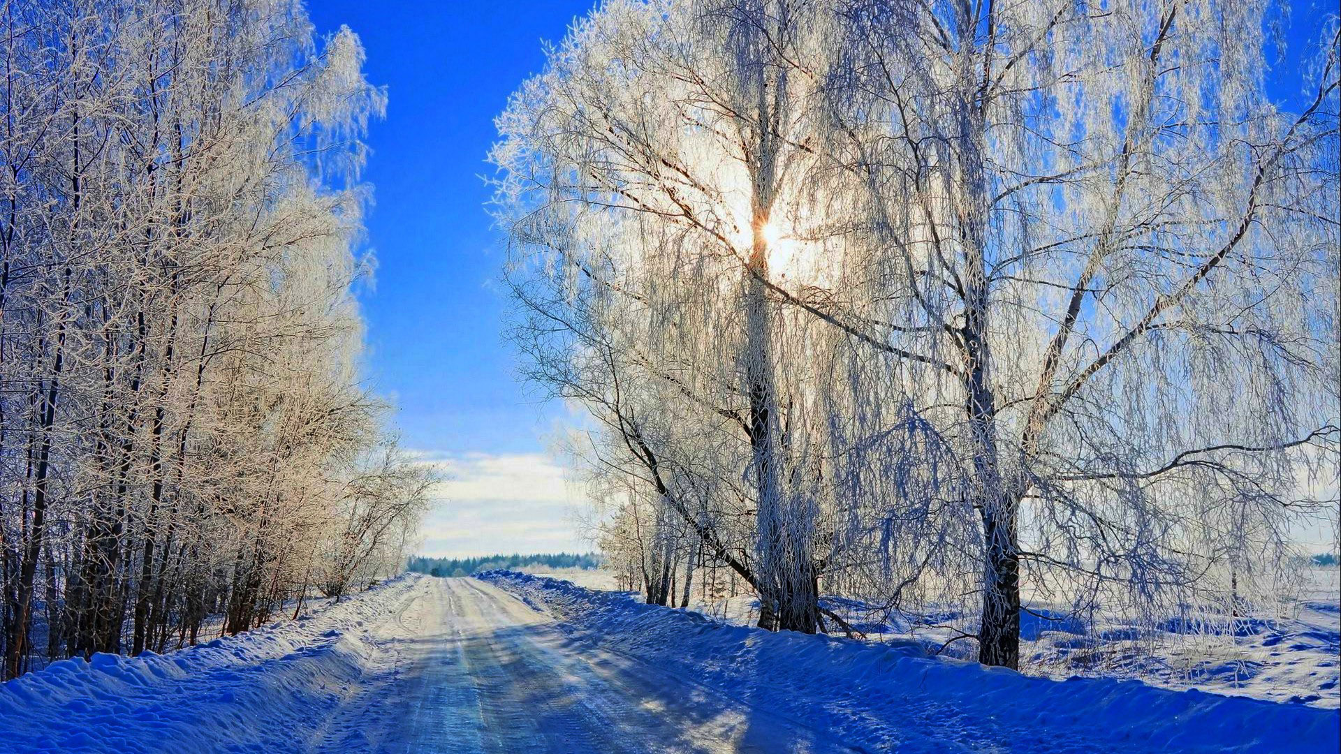 冬日蓝调雪景壁纸来了！有雪路太阳树木的治愈自然风景