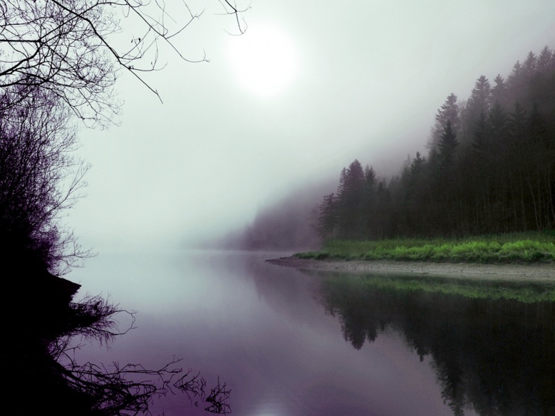 带雾的森林湖泊风景电脑壁纸合集