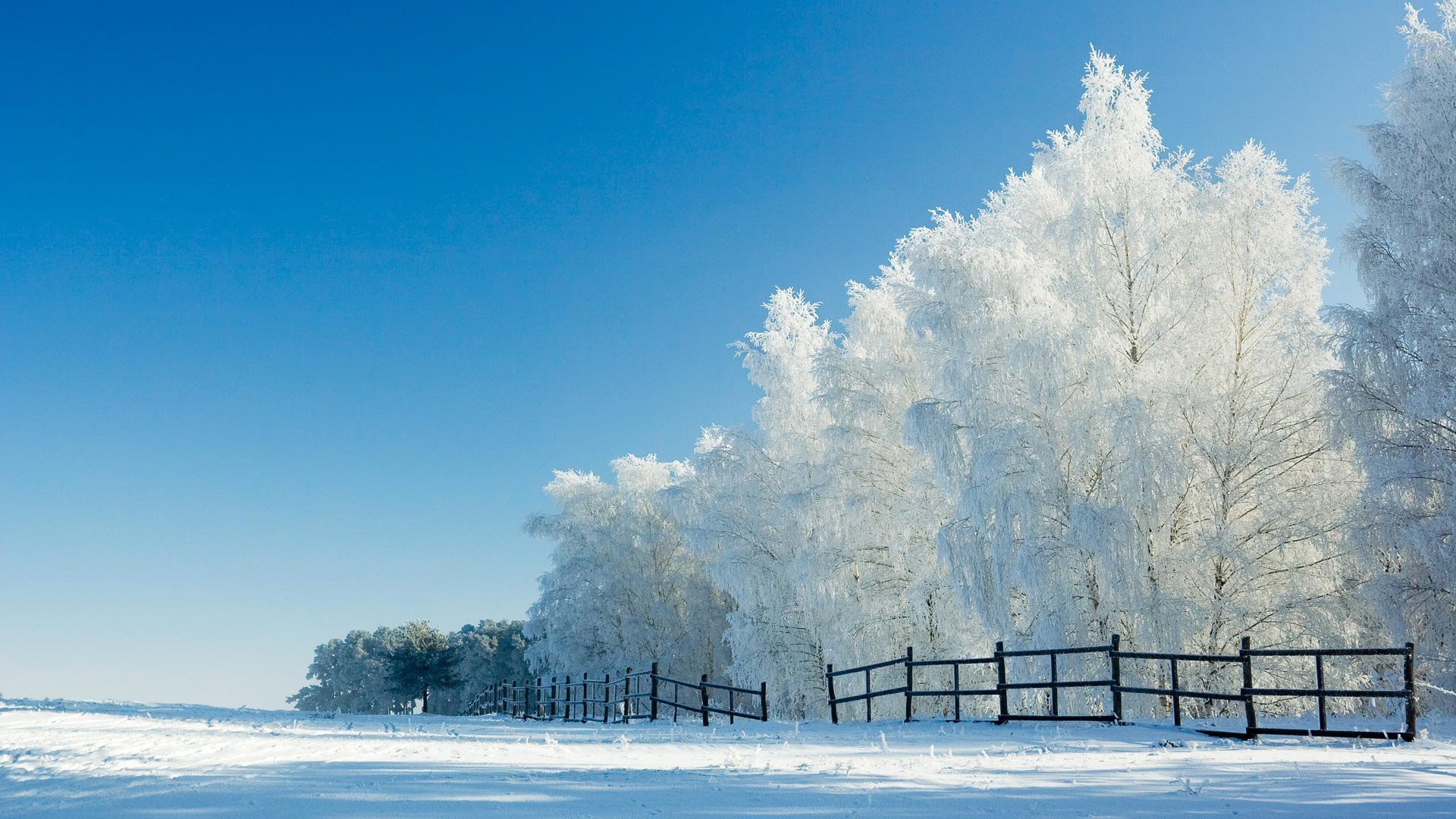 氛围感拉满！雪景栅栏风景电脑动漫壁纸合集