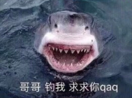聊天斗图别愁！这套鲨鱼表情包直接封神