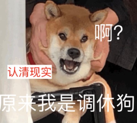聊天斗图别愁！这套奇奇怪怪动物表情包太好用了