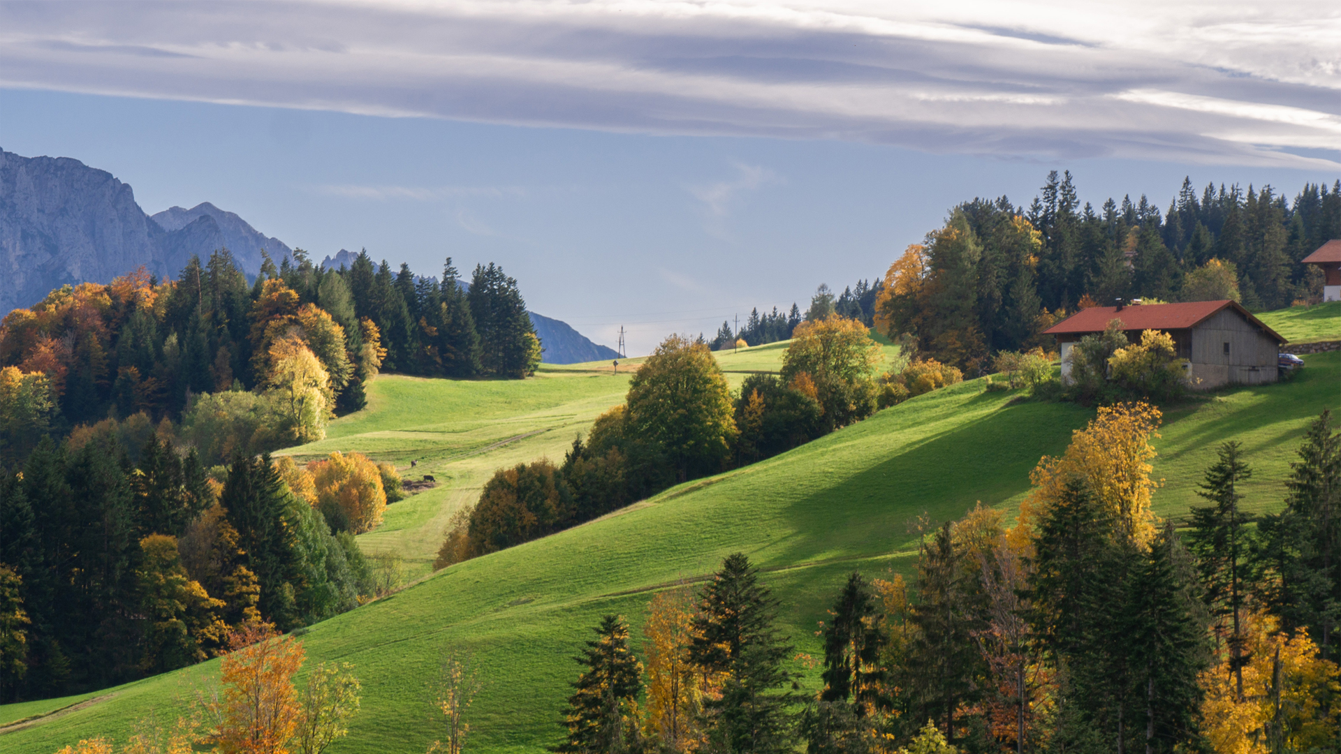 秋日氛围感拉满！带树木山丘房屋的绝美风景壁纸合集