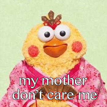 鹦鹉兄弟怼人表情包：我胖我乐意，你管得着吗？