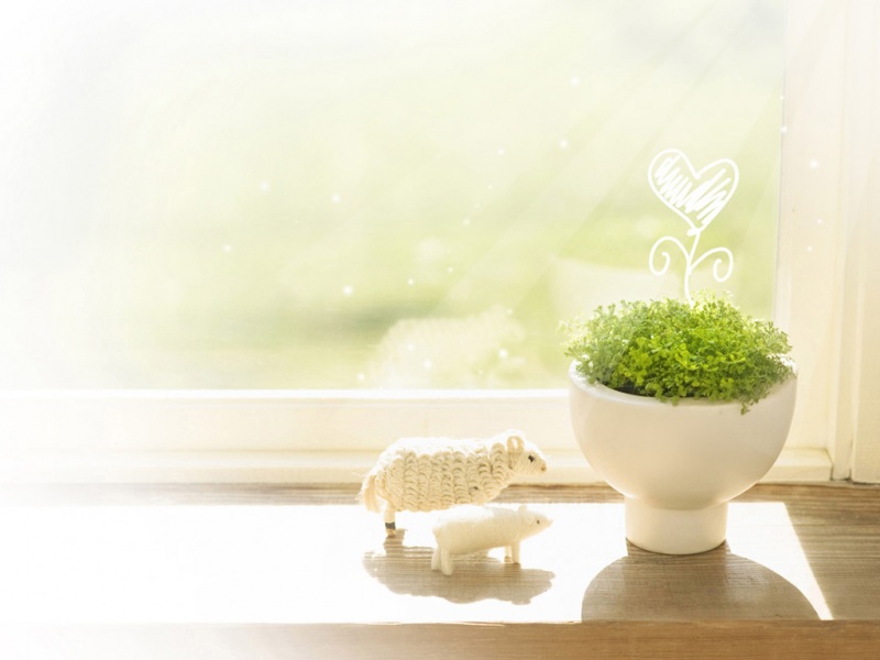 这款治愈系绿色窗台壁纸太适合当电脑桌面了